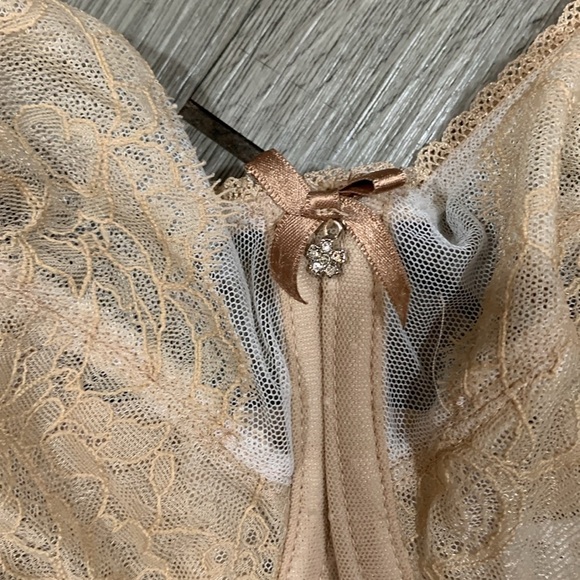 WACOAL Retro Chic Semi-sheer Chantilly Lace & Stretch Mesh Bra size 38G - Picture 4 of 10